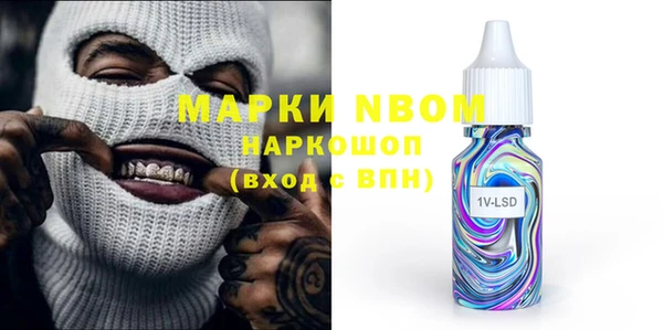 spice Богородицк