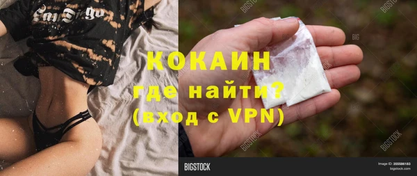 молекула духа Богородск