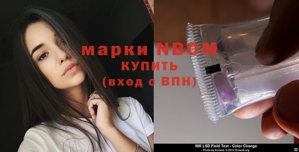 молекула духа Богородск