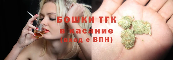 молекула духа Богородск