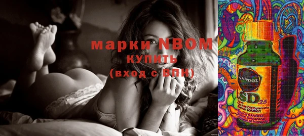 spice Богородицк