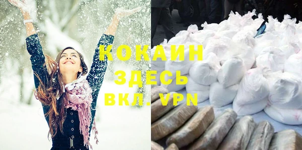 spice Богородицк