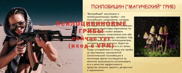 spice Богородицк