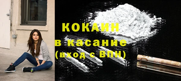 spice Богородицк
