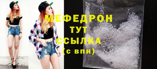 spice Богородицк