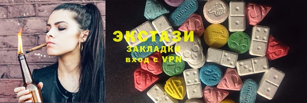 spice Богородицк