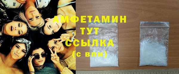 spice Богородицк