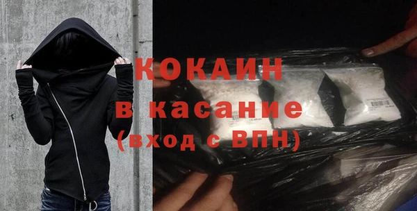 spice Богородицк