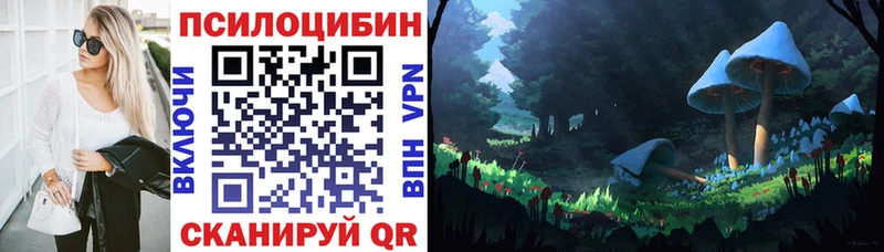 Галлюциногенные грибы прущие грибы  Котлас 